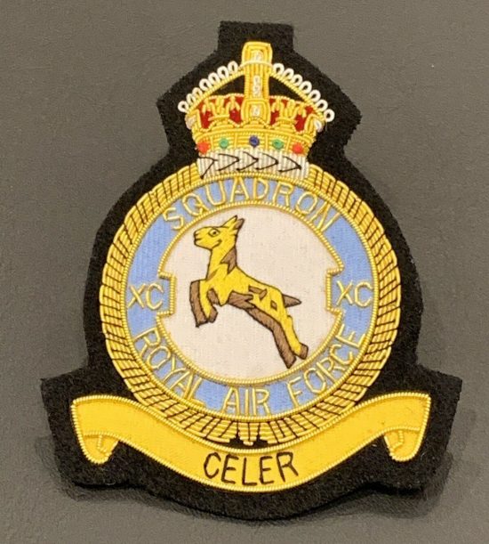 Royal Air Force XC Squadron Badge Bullion Badge Hand Embroidered Blazer Badge